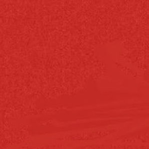 Meet your Posher, Jose